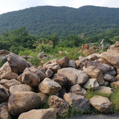 【山石园林】苏州市黄蜡石供应厂家 庭院假山供应公司