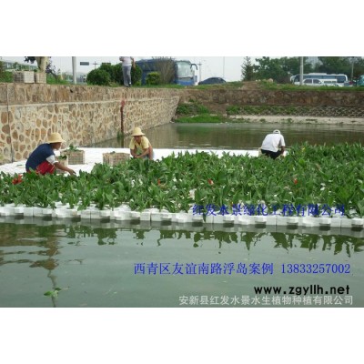 浮岛、浮岛|生态浮岛|人工浮岛 红发水景绿化工程有限公司