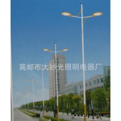 **10米路灯 led道路照明灯 路灯灯杆 6米路灯杆  LED路灯